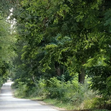 Godzisz - Rekreacyjny Ferienhaus