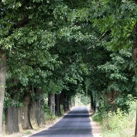 Godzisz - Rekreacyjny * Sobolew